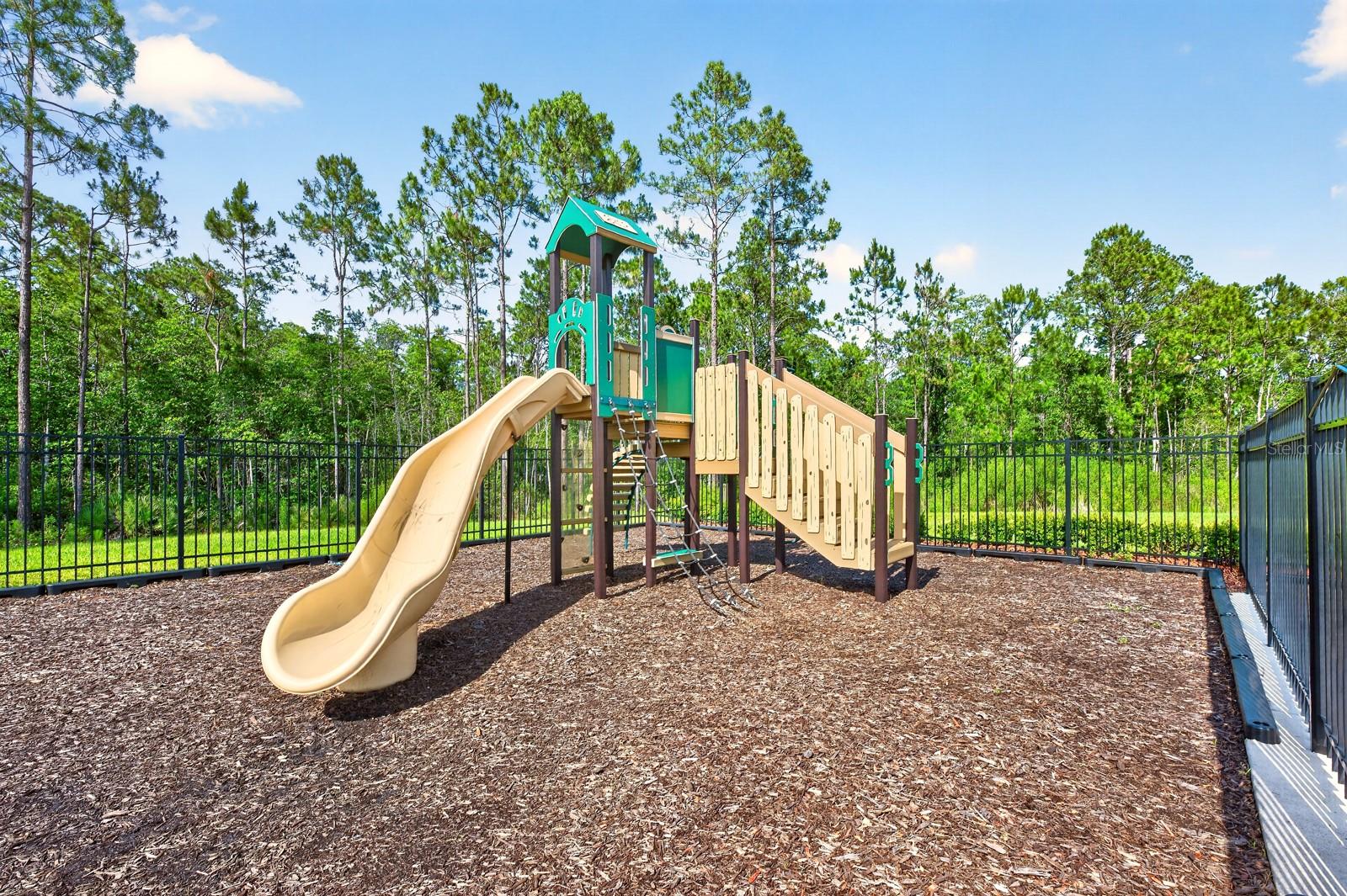 4107 CALUSA PINE RD, DAYTONA BEACH, FL, 32124