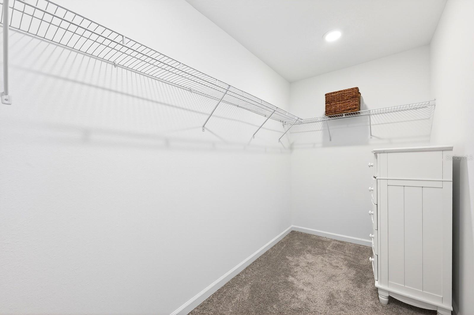 4107 CALUSA PINE RD, DAYTONA BEACH, FL, 32124