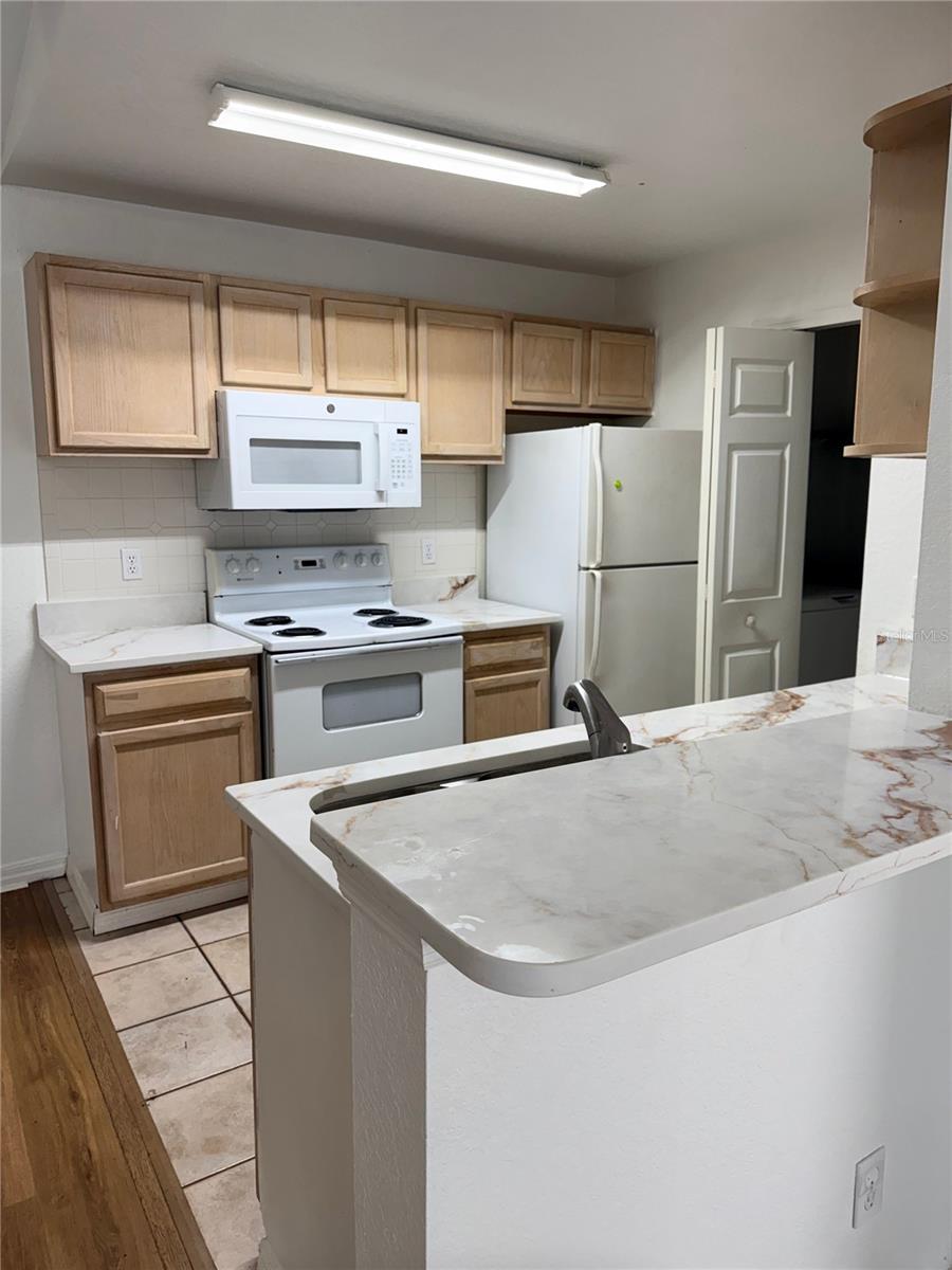 7630 PISSARRO DR #16303, ORLANDO, FL, 32819