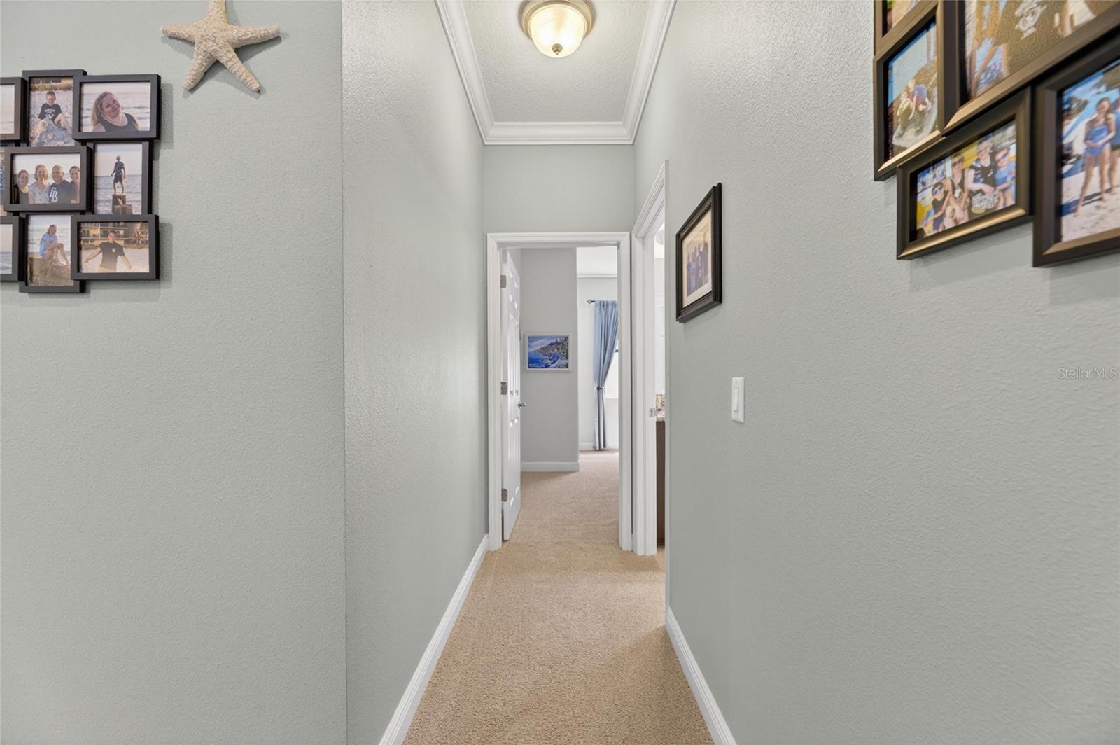 204 DAKOTA HILL DR, SEFFNER, FL, 33584