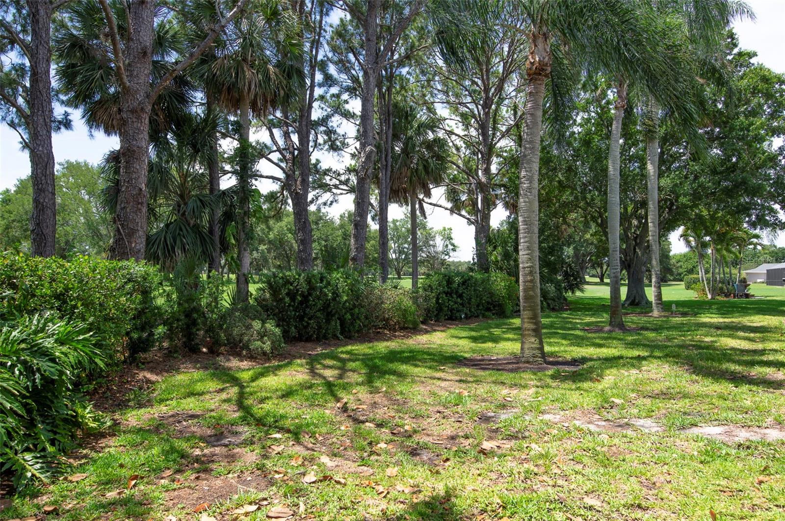 3119 HYDE PARK DR, CLEARWATER, FL, 33761