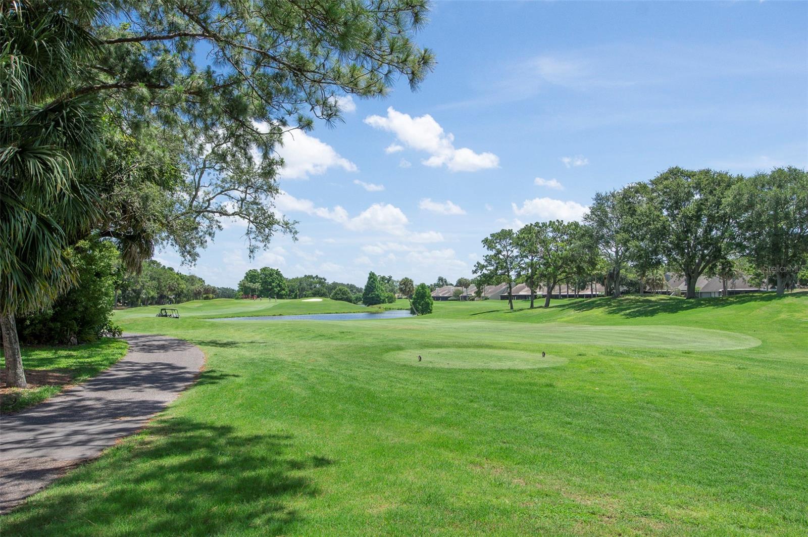 3119 HYDE PARK DR, CLEARWATER, FL, 33761