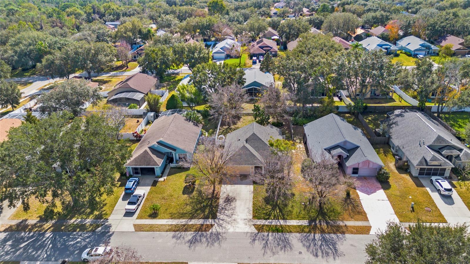 10314 PATRICK DR, LEESBURG, FL, 34788