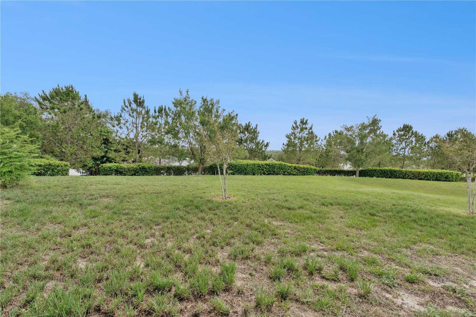 916 ASPEN VIEW CIR, GROVELAND, FL, 34736