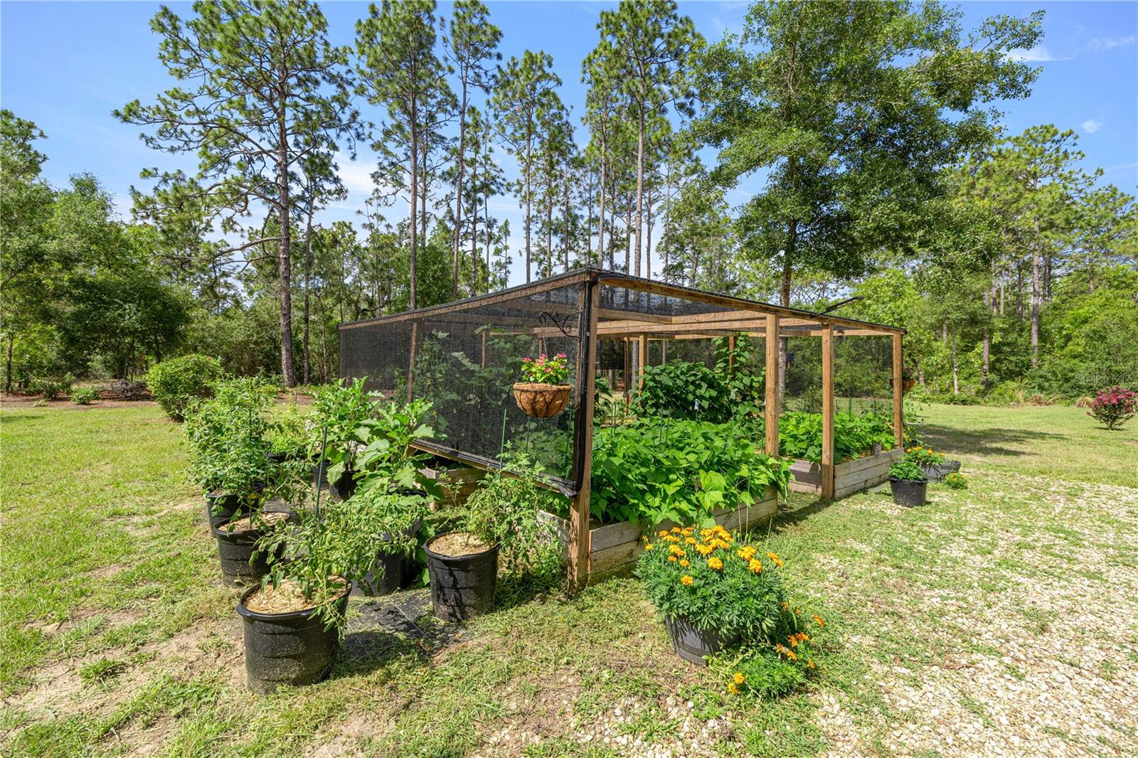 3372 W WEBSTER PL, CITRUS SPRINGS, FL, 34433