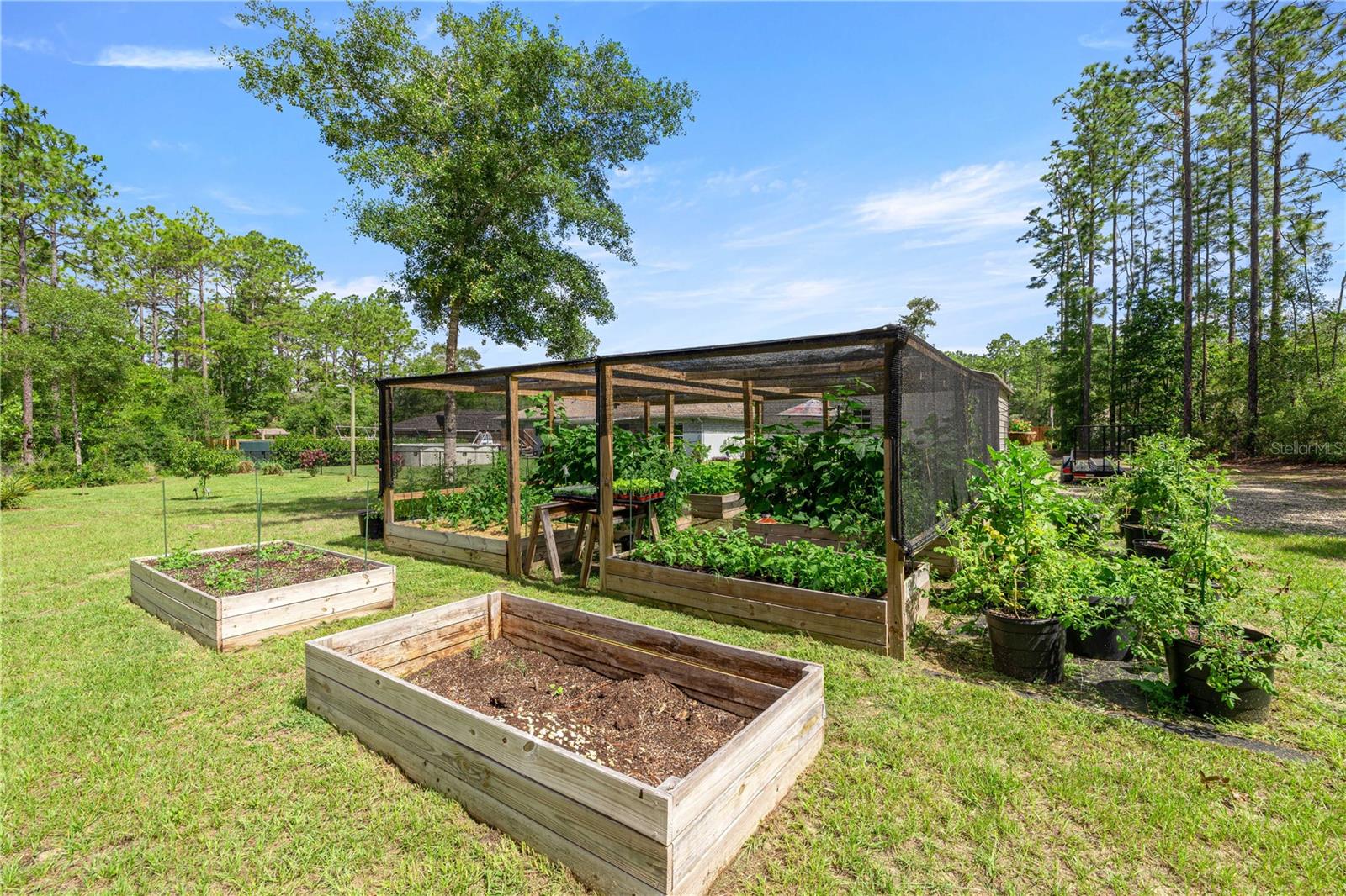 3372 W WEBSTER PL, CITRUS SPRINGS, FL, 34433