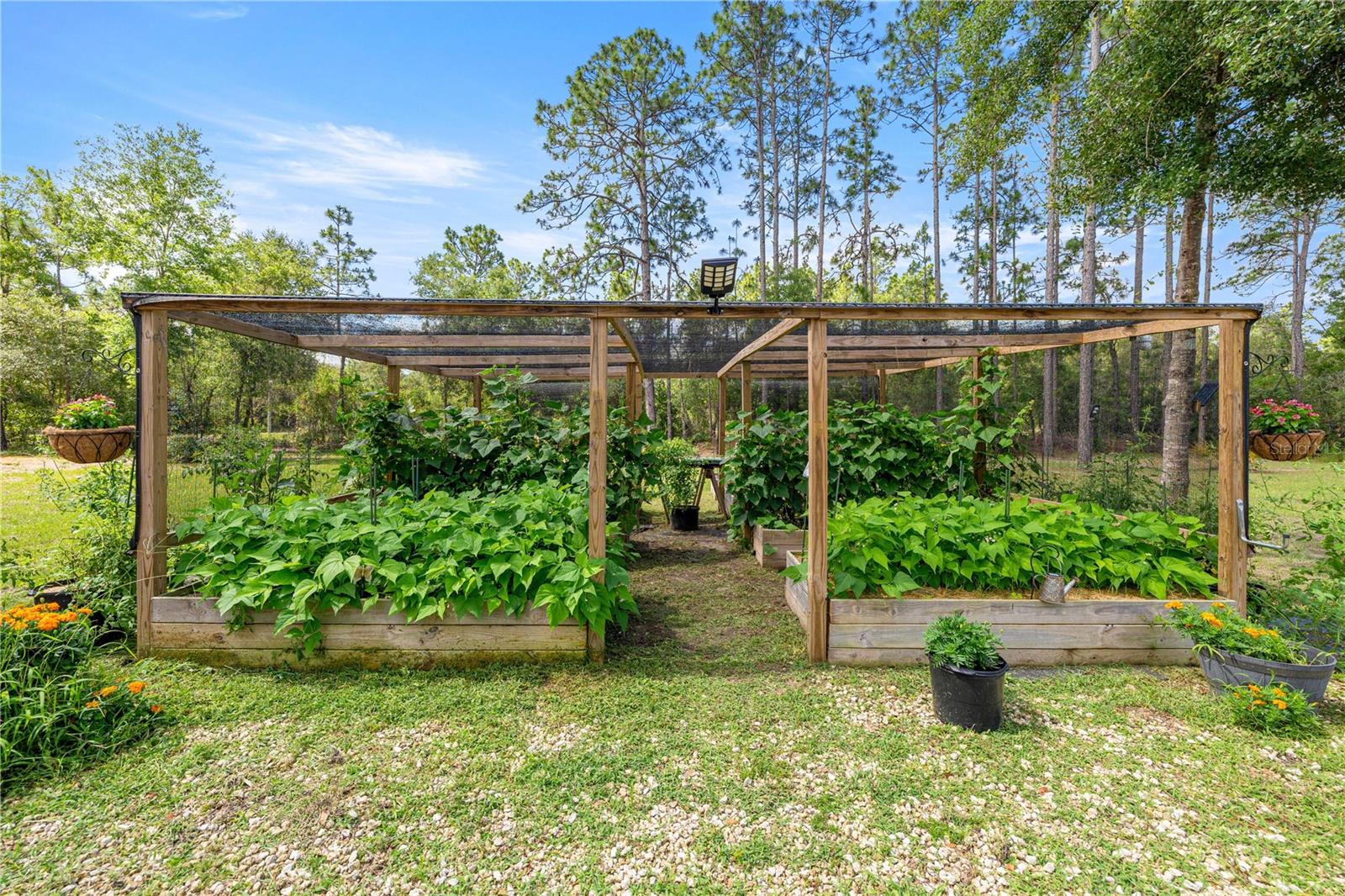 3372 W WEBSTER PL, CITRUS SPRINGS, FL, 34433