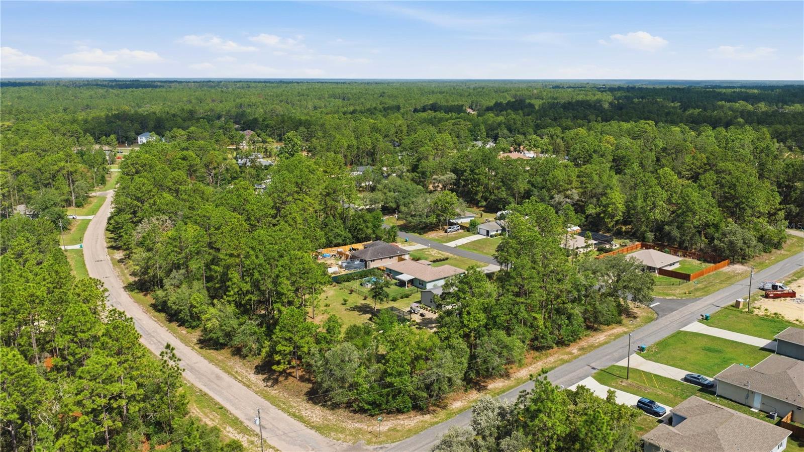 3372 W WEBSTER PL, CITRUS SPRINGS, FL, 34433