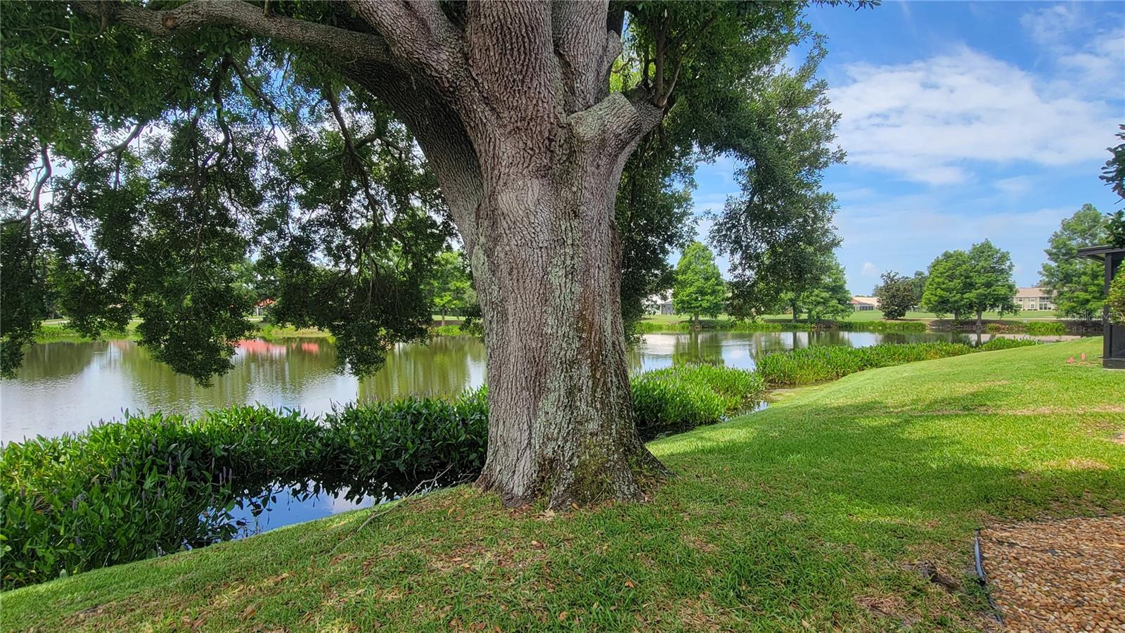 6934 STONEYWALK CT, BRADENTON, FL, 34203