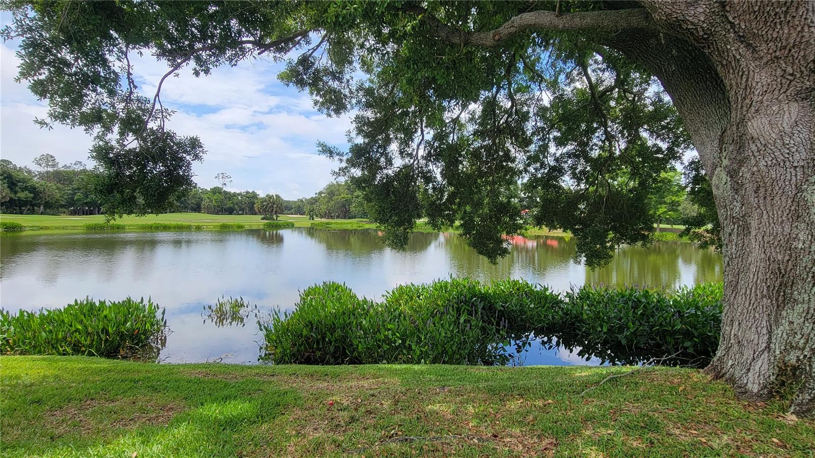 6934 STONEYWALK CT, BRADENTON, FL, 34203