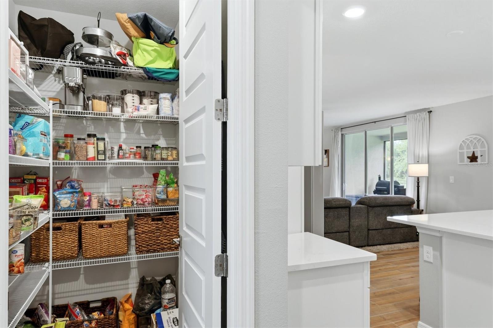 14026 GINNIE SPRINGS WAY, PARRISH, FL, 34219