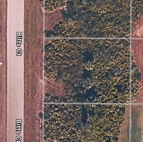 9 BITTS CT, PLACIDA, FL, 33946