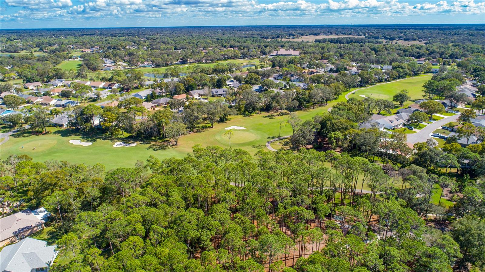 2139 SEA PINES CT, SPRING HILL, FL, 34606