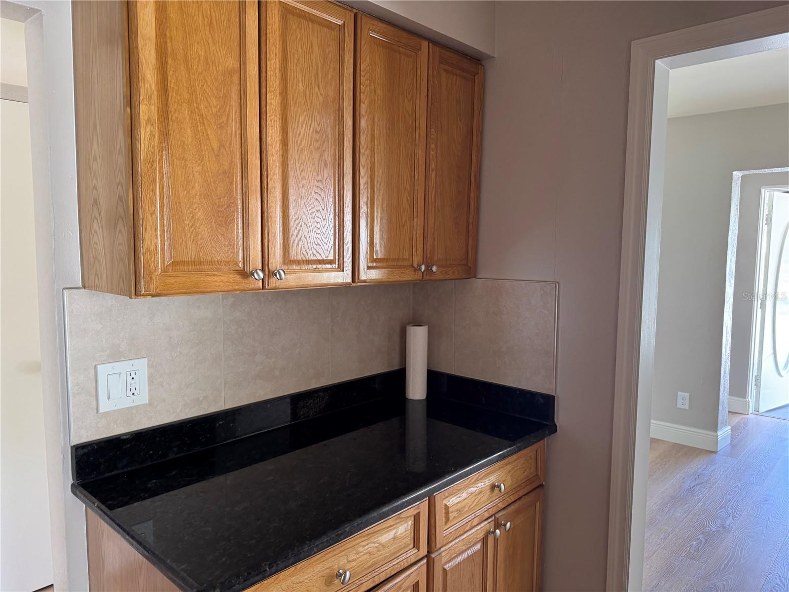 107 N GALENA AVE, MINNEOLA, FL, 34715