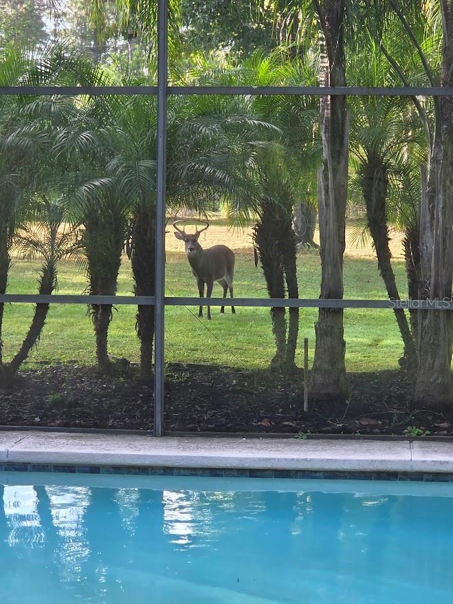 2461 WASSUM TRL, OVIEDO, FL, 32766