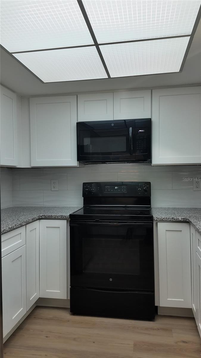 2480 PELICAN CT #102R, CLEARWATER, FL, 33762
