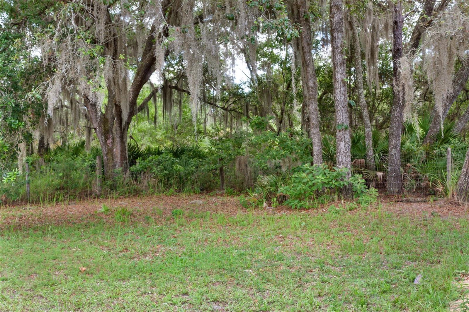12174 W FIG TREE LN #1, CRYSTAL RIVER, FL, 34428