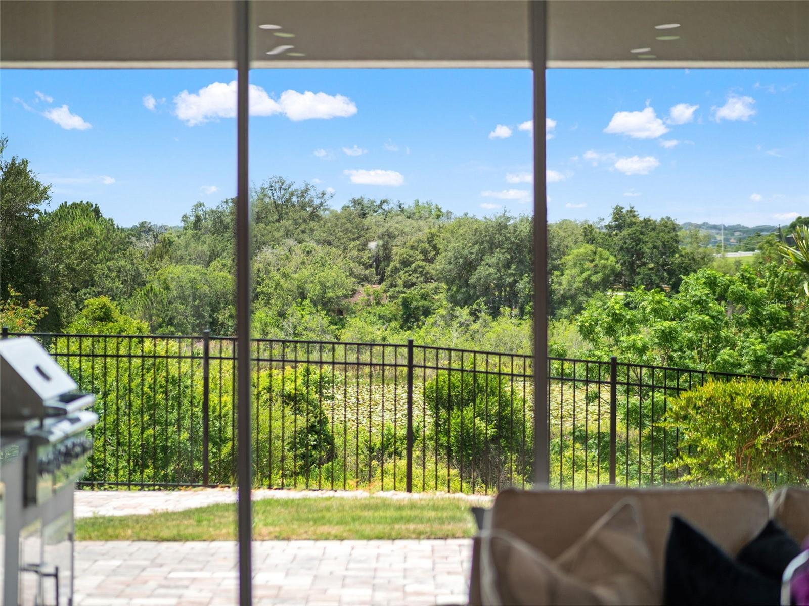 16049 VOLTERRA PT, MONTVERDE, FL, 34756