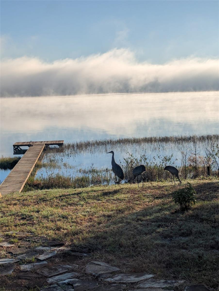 44228 PARKWAY LN, ALTOONA, FL, 32702