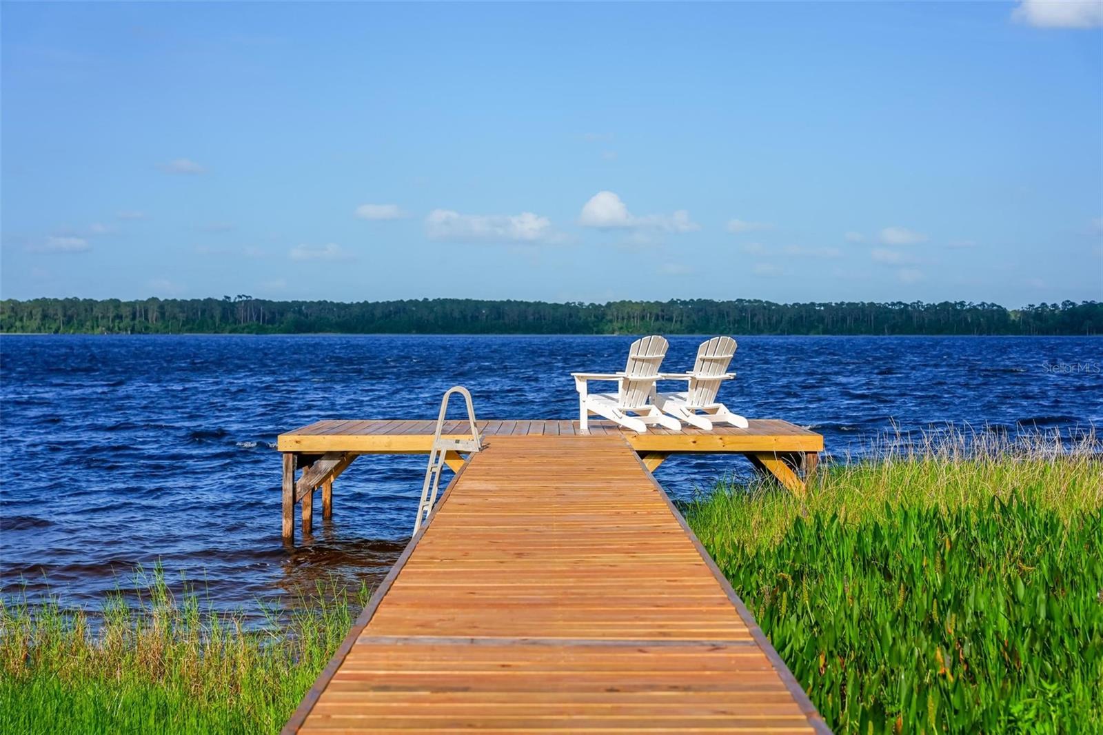 44228 PARKWAY LN, ALTOONA, FL, 32702