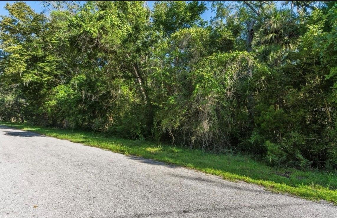 10975 W ROCKHAVEN LN, HOMOSASSA, FL, 34448
