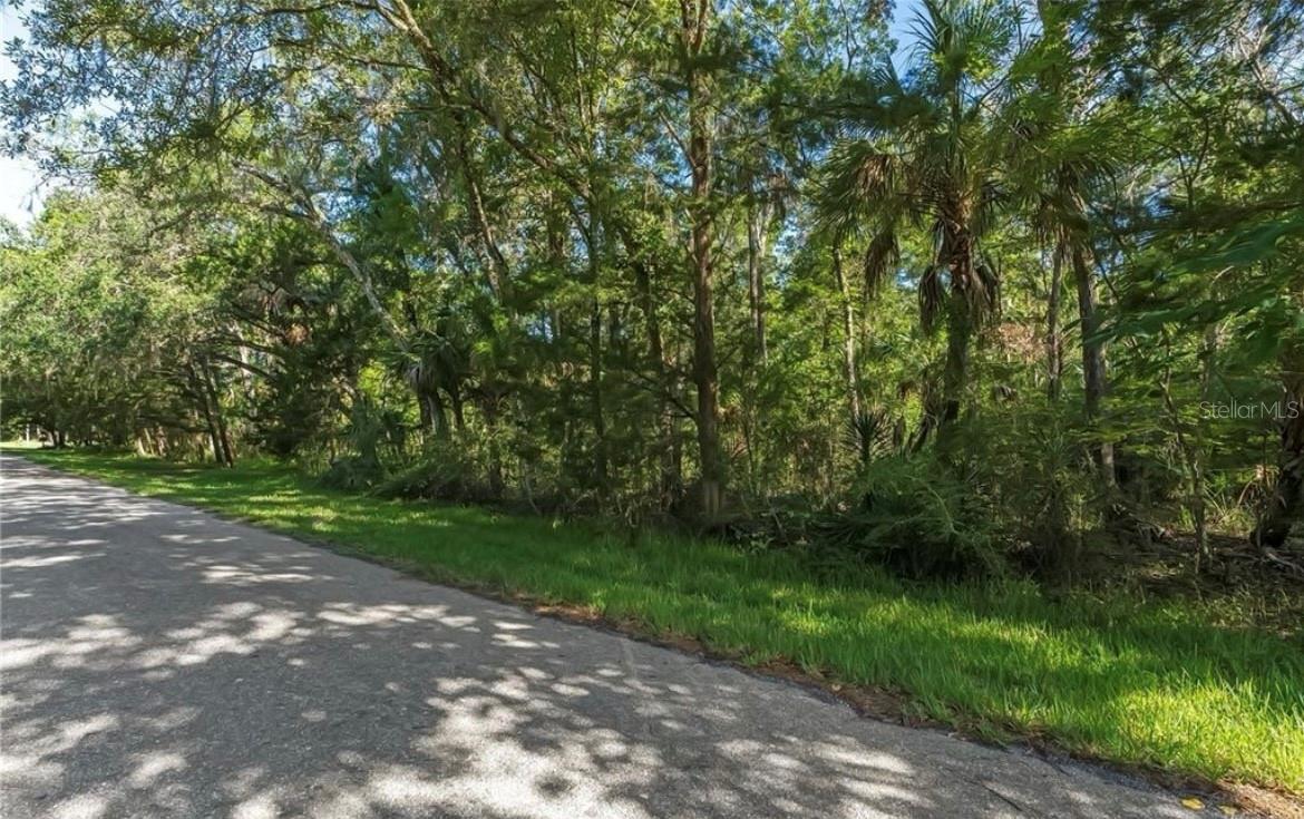 10975 W ROCKHAVEN LN, HOMOSASSA, FL, 34448