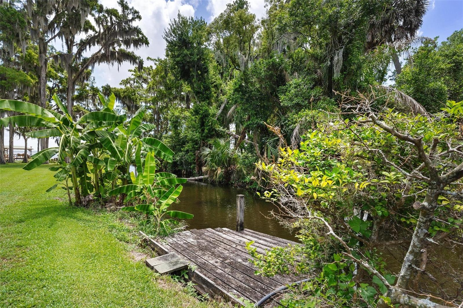 29205 S CORLEY ISLAND RD, LEESBURG, FL, 34748