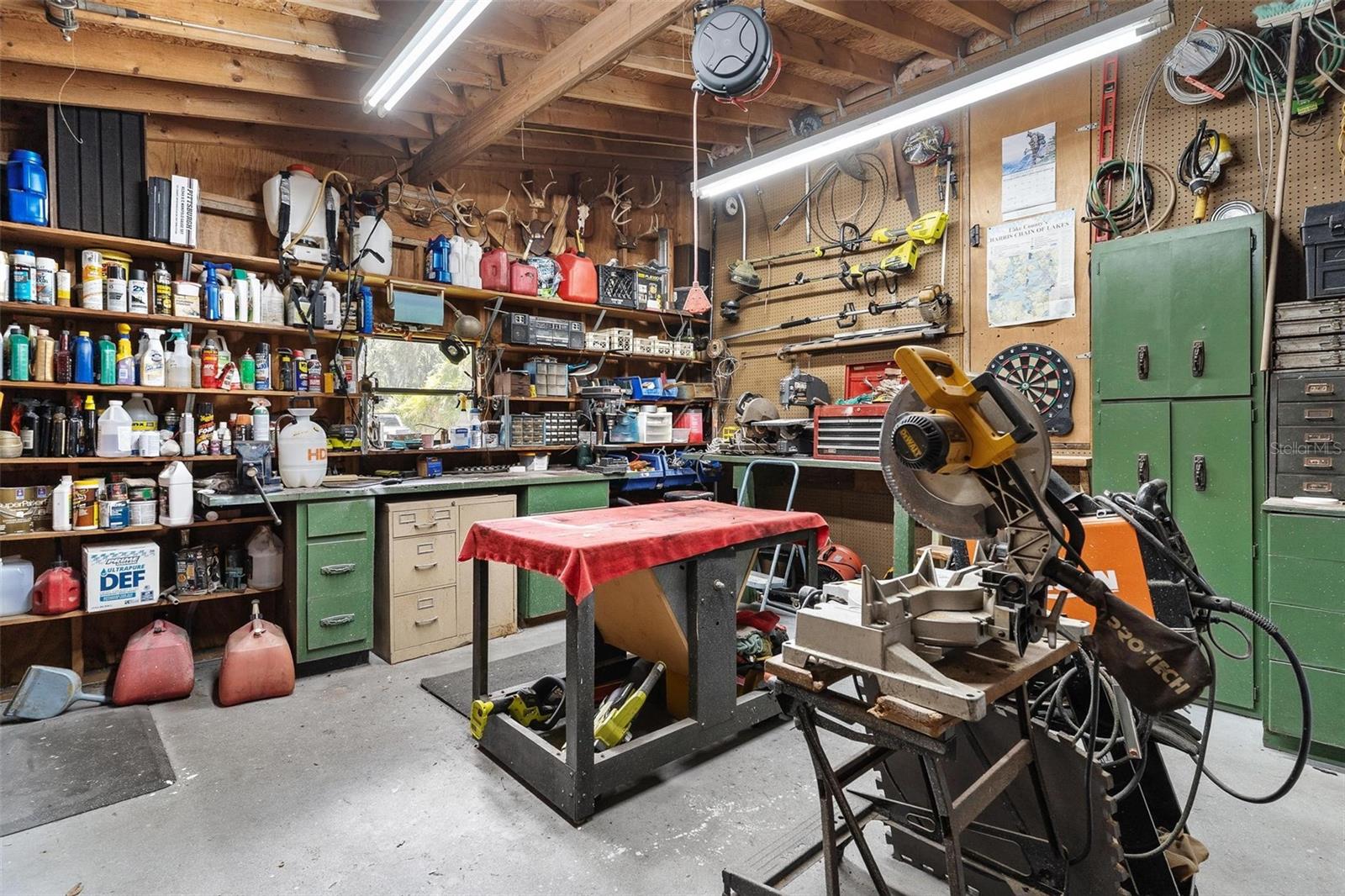 29205 S CORLEY ISLAND RD, LEESBURG, FL, 34748
