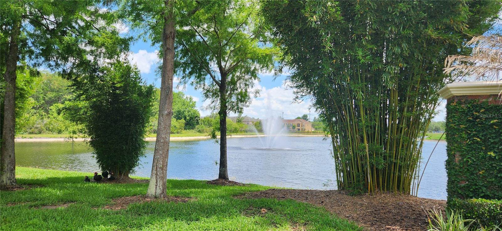 16229 OLD ASH LOOP, ORLANDO, FL, 32828