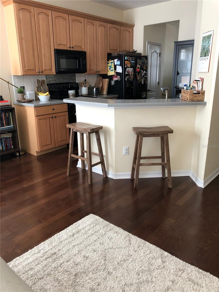 12982 KEGAN ST, WINDERMERE, FL, 34786