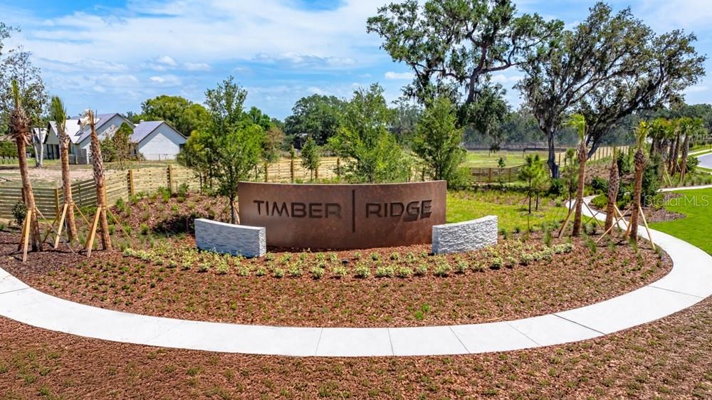 3444 LUMBER FALLS DR, PLANT CITY, FL, 33565