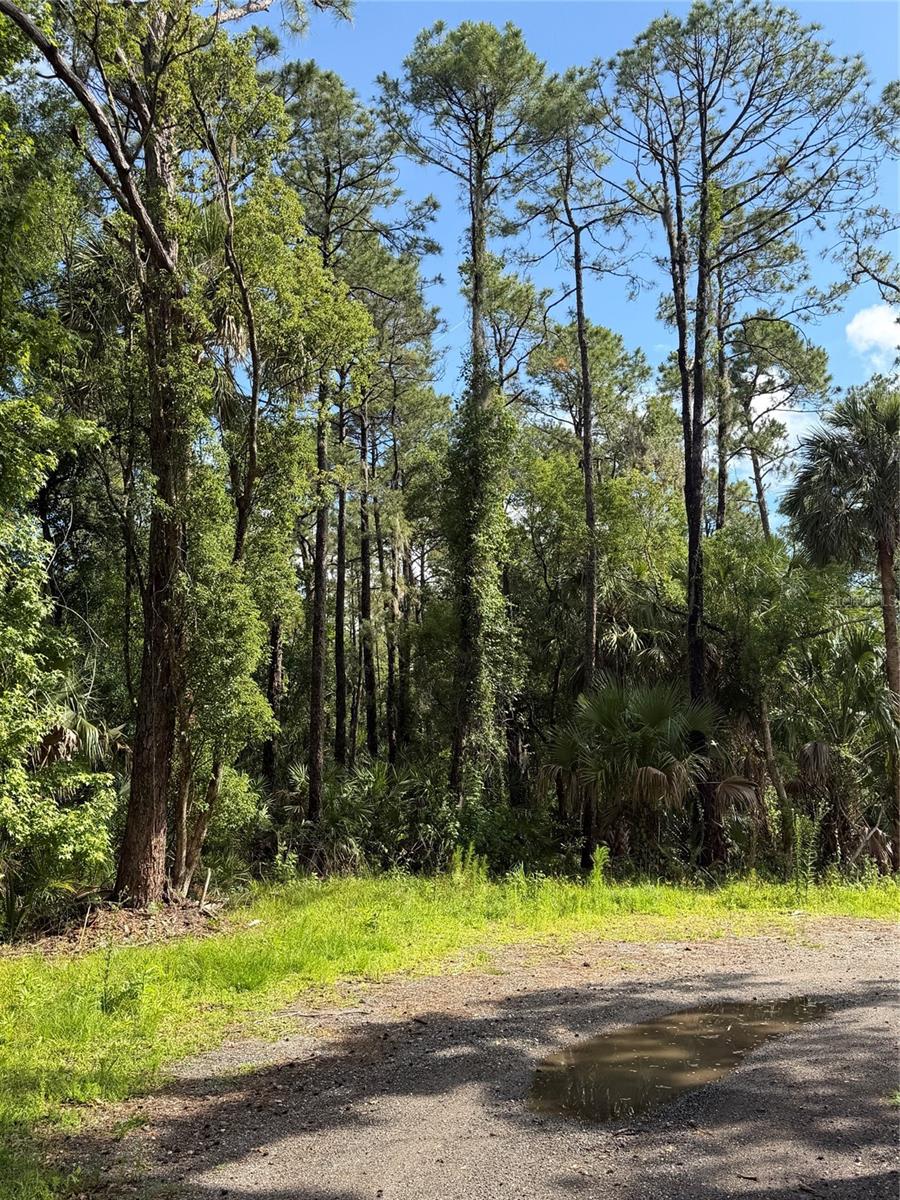 1340 JAYCE CT, GENEVA, FL, 32732