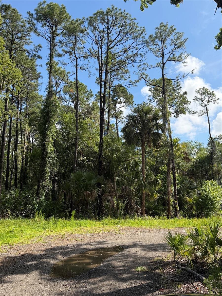1340 JAYCE CT, GENEVA, FL, 32732
