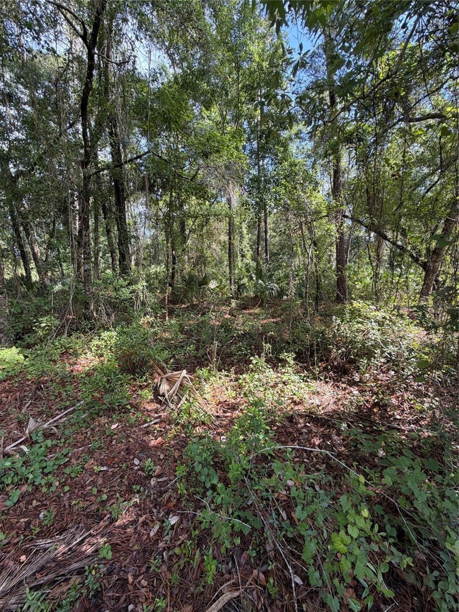 1340 JAYCE CT, GENEVA, FL, 32732