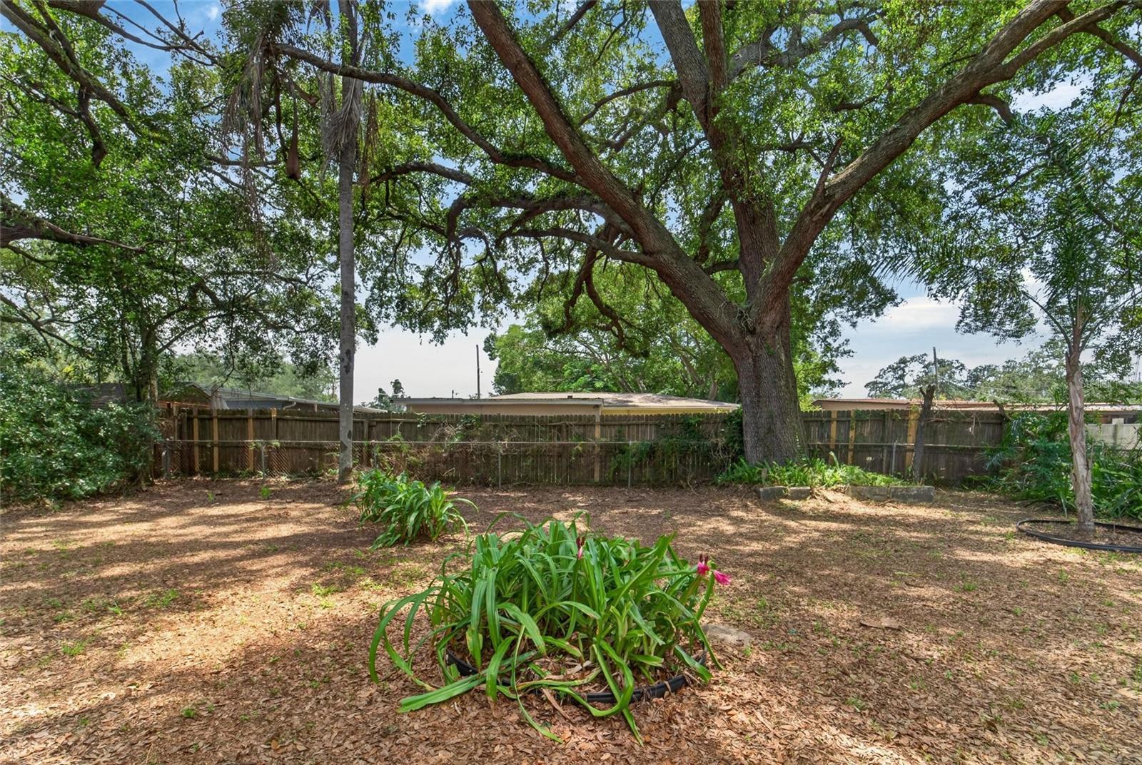 3009 E FERN ST, TAMPA, FL, 33610