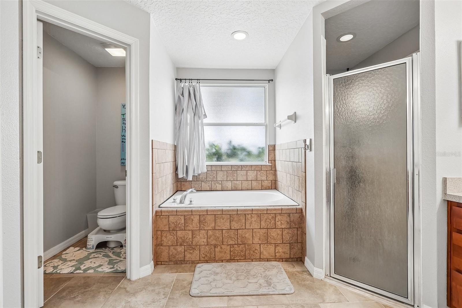 4181 WALTHAM FOREST DR, TAVARES, FL, 32778