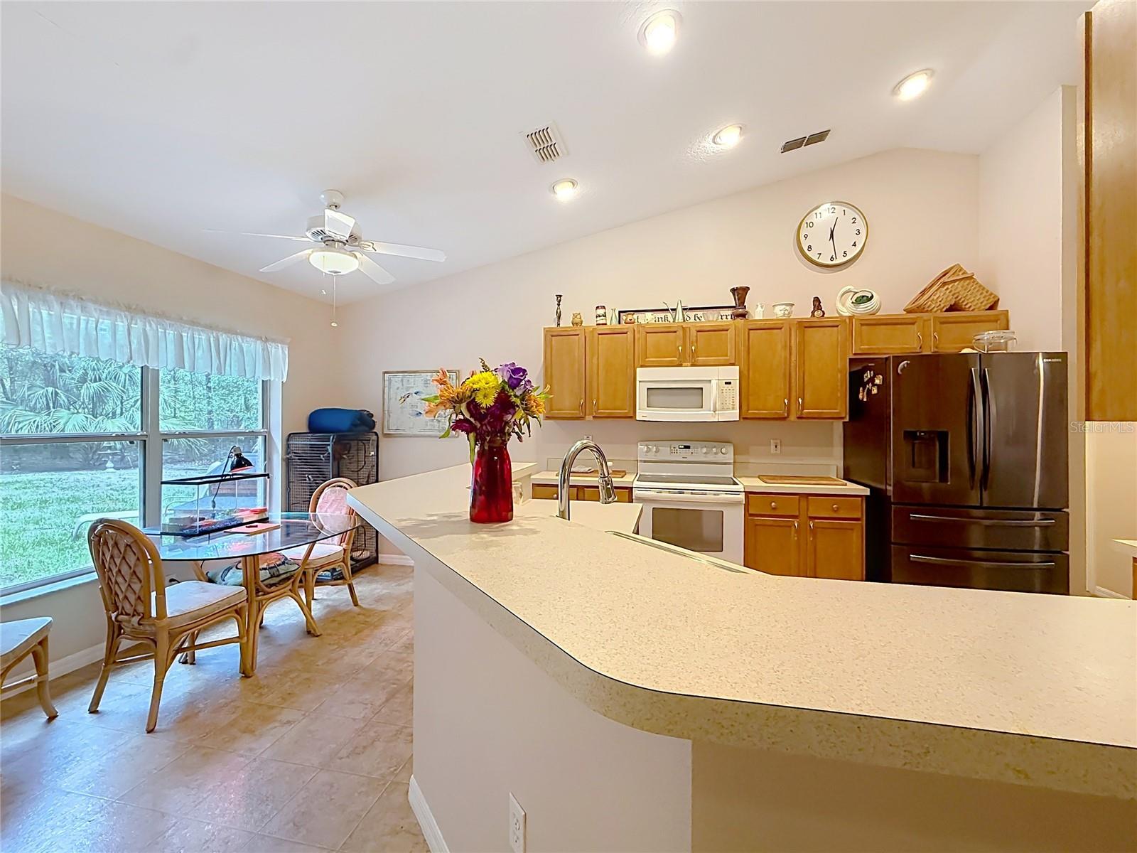 2226 SW ALGIERS CT, DUNNELLON, FL, 34431