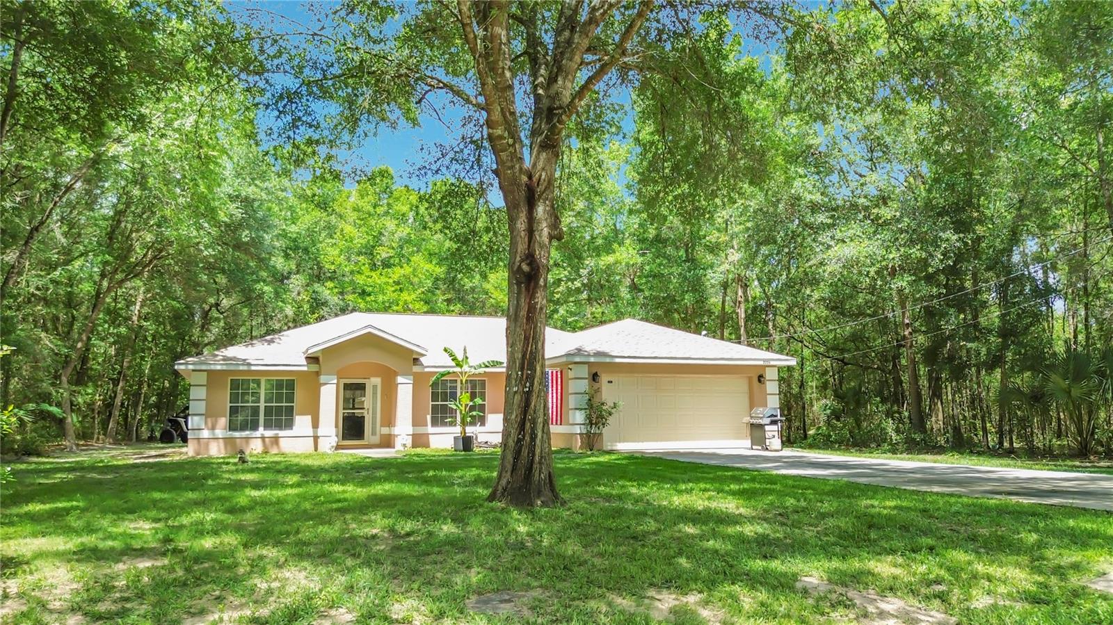 2226 SW ALGIERS CT, DUNNELLON, FL, 34431