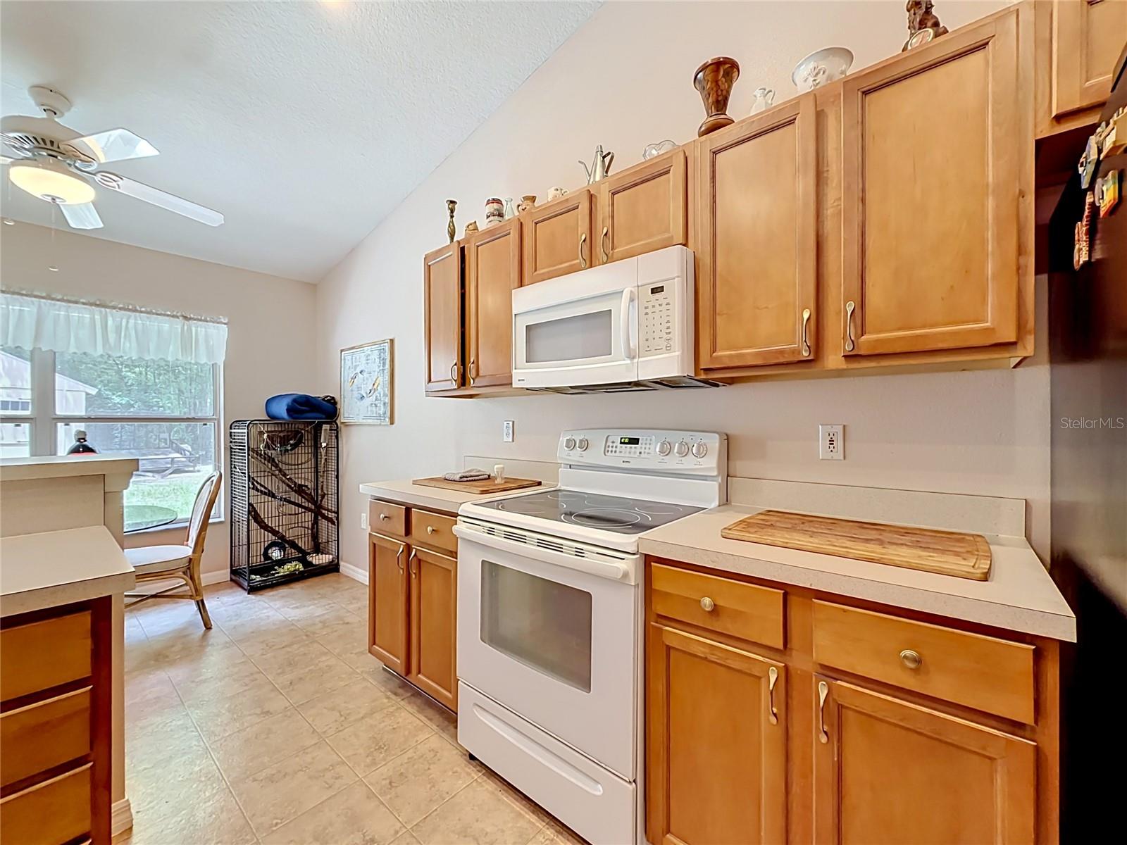 2226 SW ALGIERS CT, DUNNELLON, FL, 34431