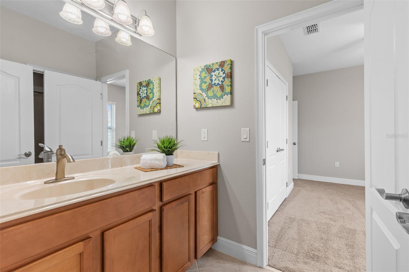 7938 HAMPTON LAKE DR, TAMPA, FL, 33647