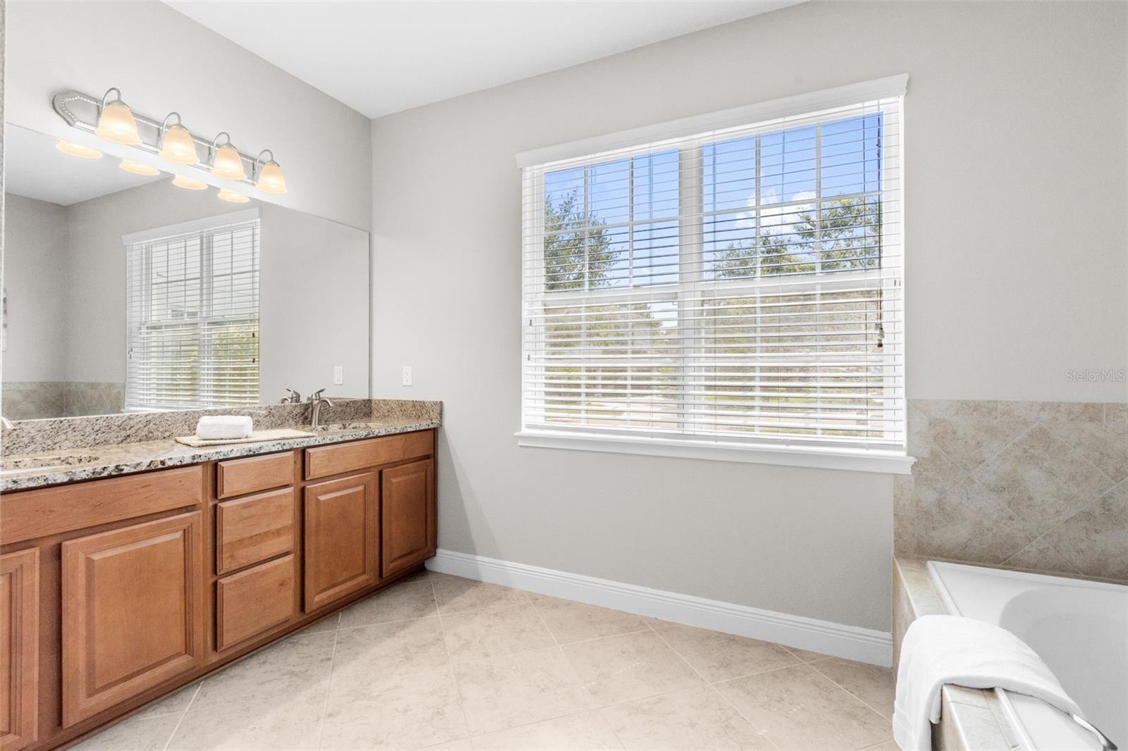 7938 HAMPTON LAKE DR, TAMPA, FL, 33647