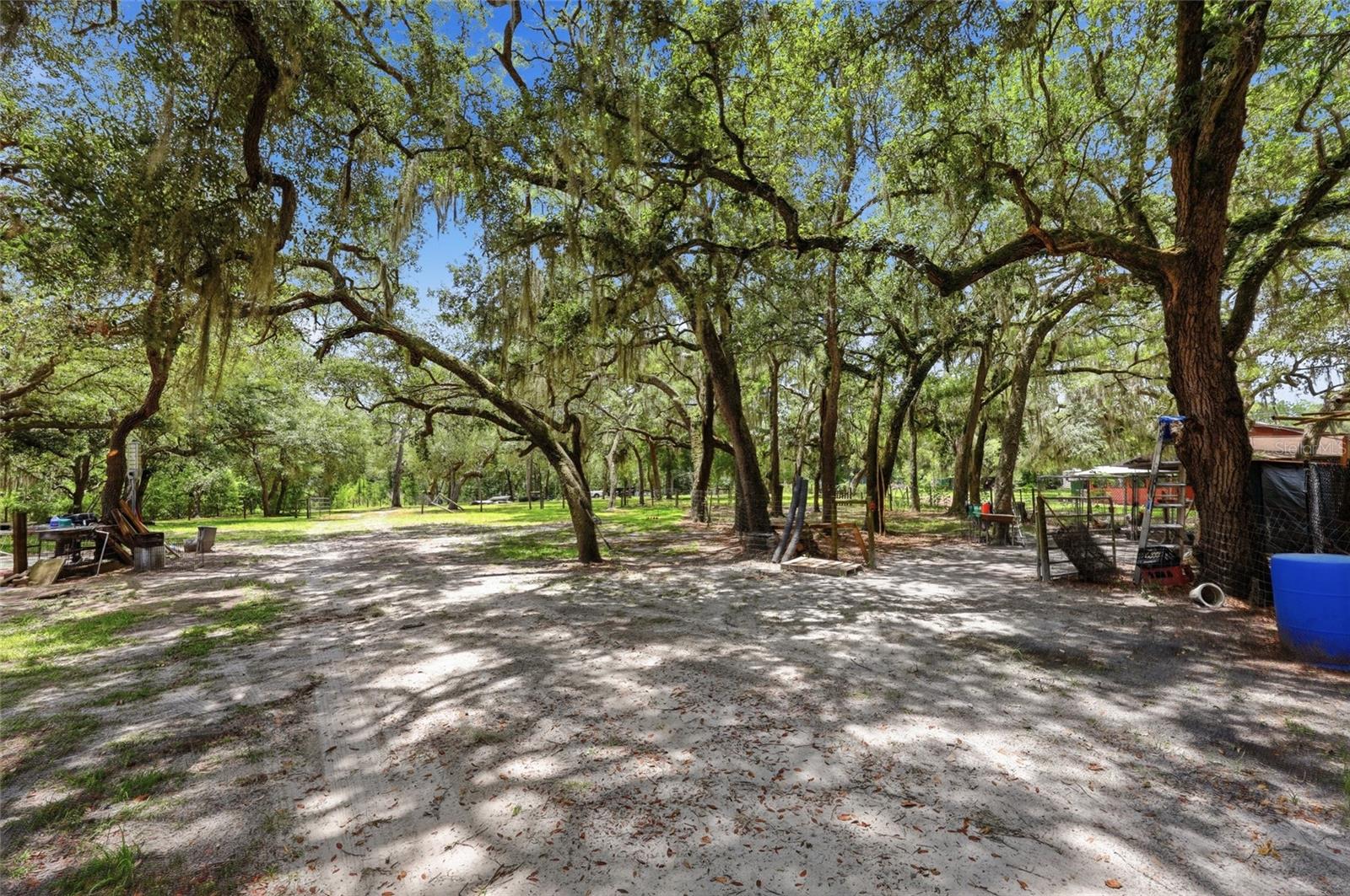 5956 W GREEN ACRES ST, HOMOSASSA, FL, 34446