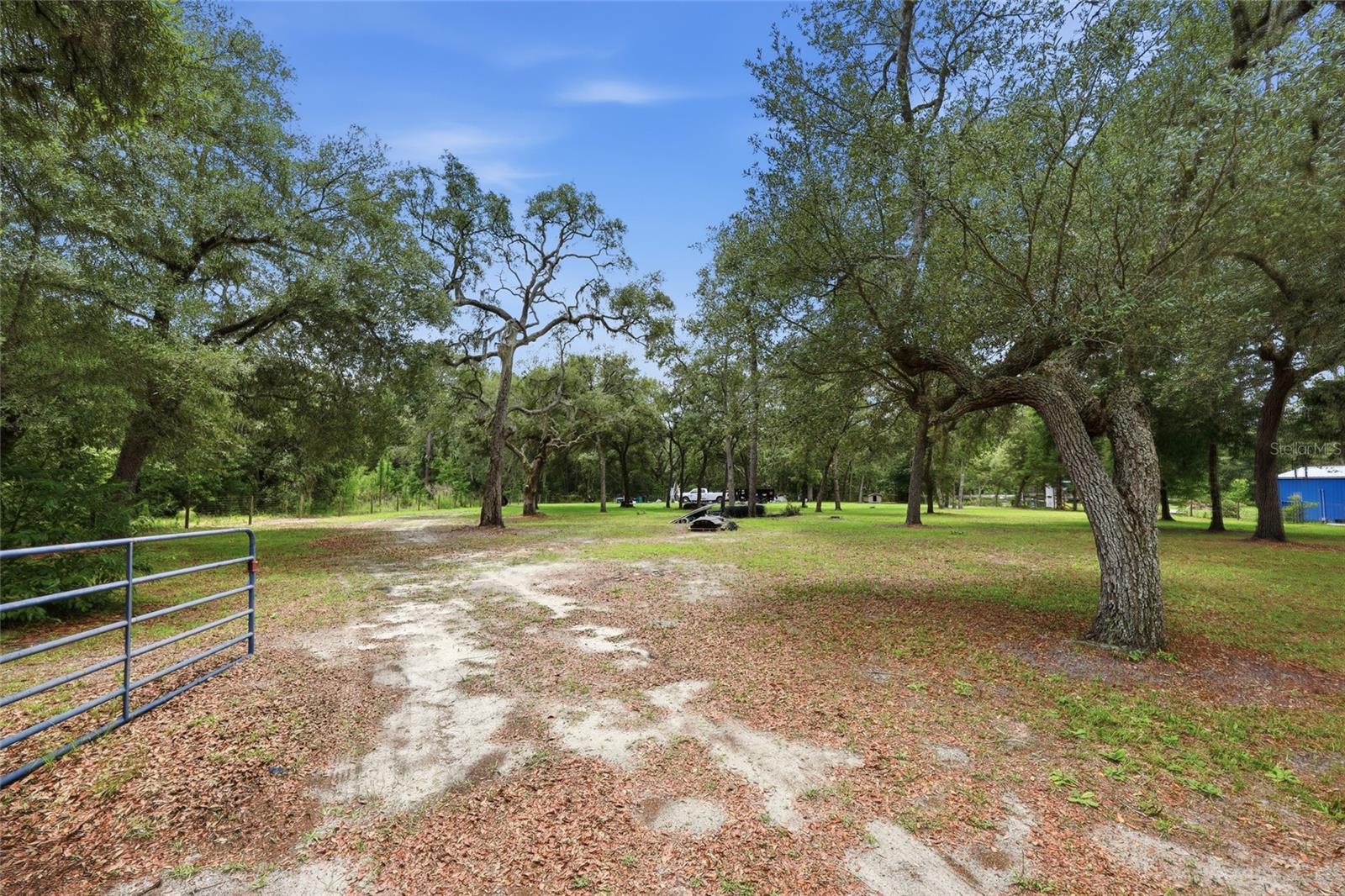 5956 W GREEN ACRES ST, HOMOSASSA, FL, 34446