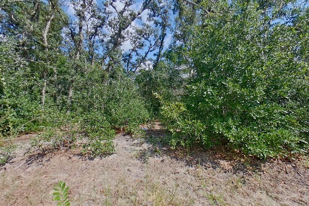 2907 W CAMILO DR, CITRUS SPRINGS, FL, 34434
