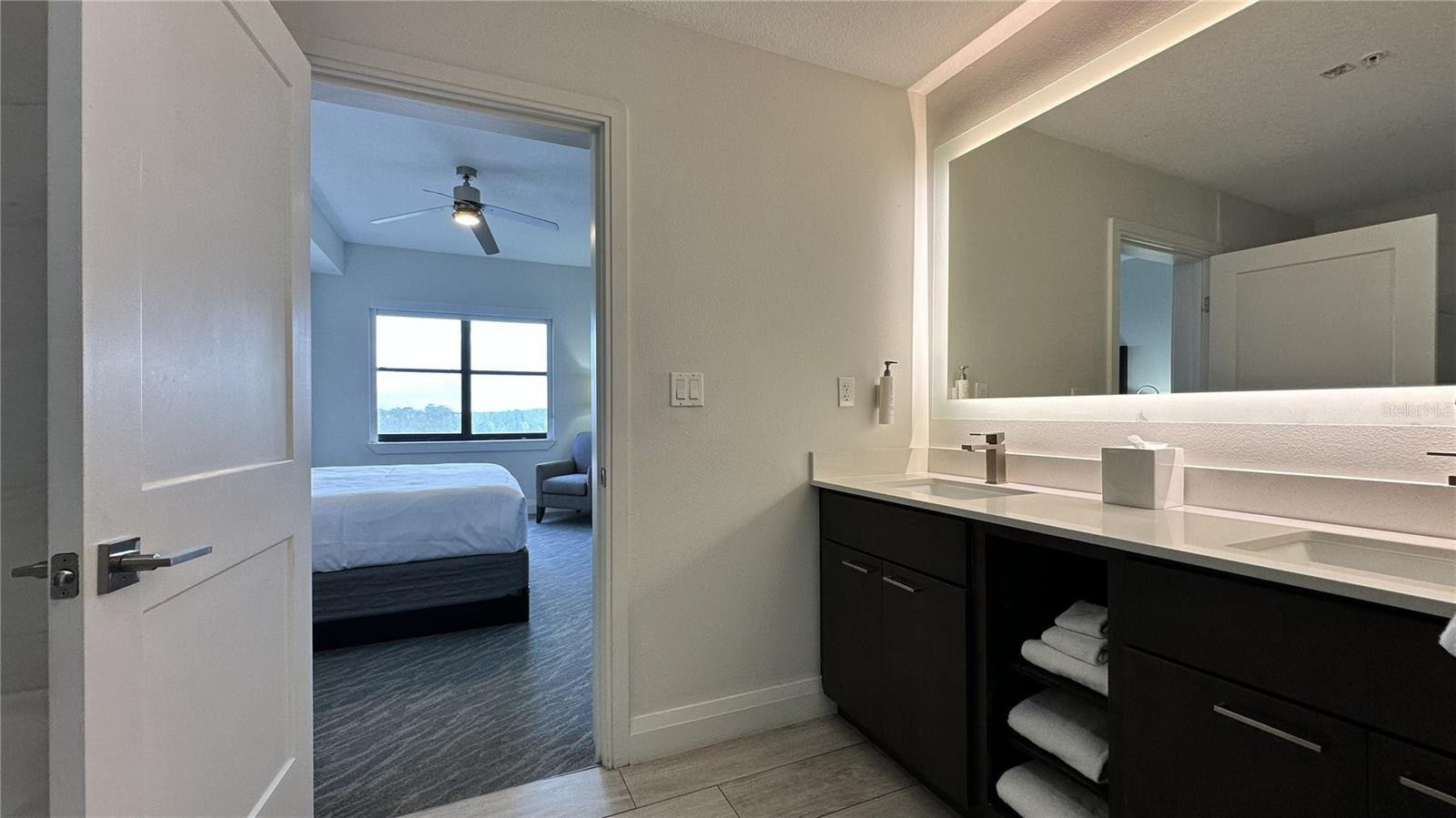 14501 GROVE RESORT AVE #3523, WINTER GARDEN, FL, 34787