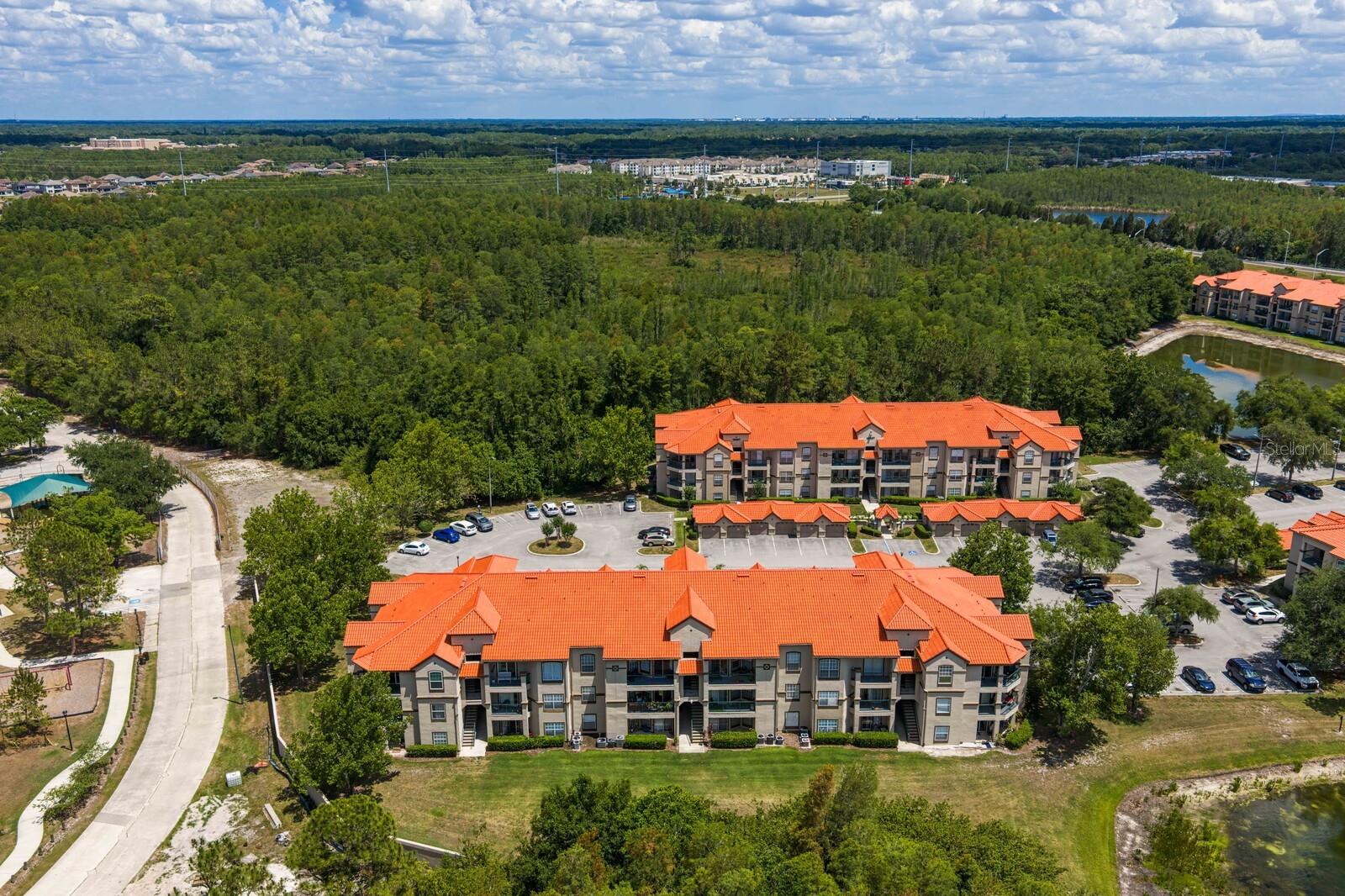 18108 PEREGRINES PERCH PL #7110, LUTZ, FL, 33558