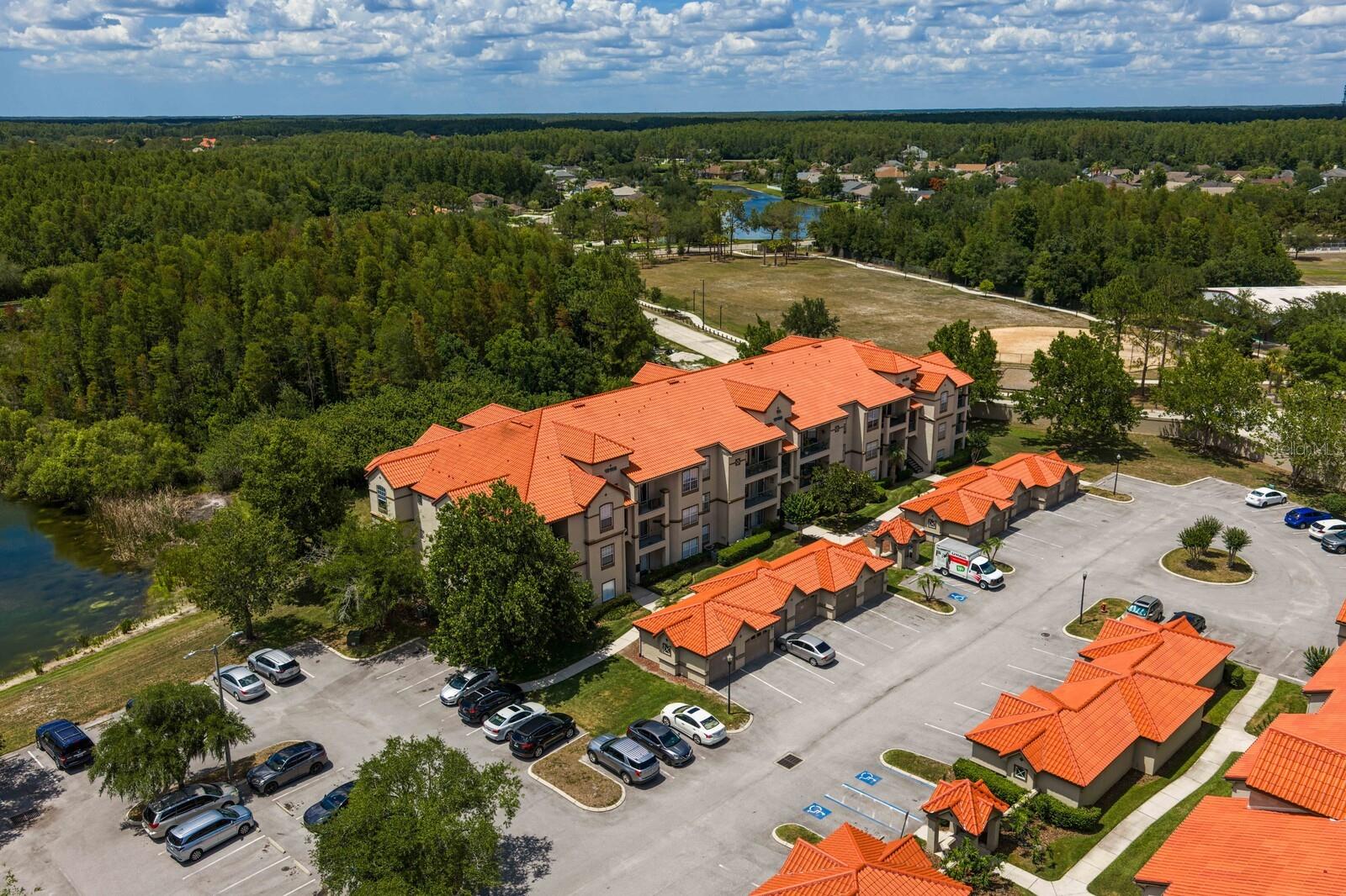 18108 PEREGRINES PERCH PL #7110, LUTZ, FL, 33558