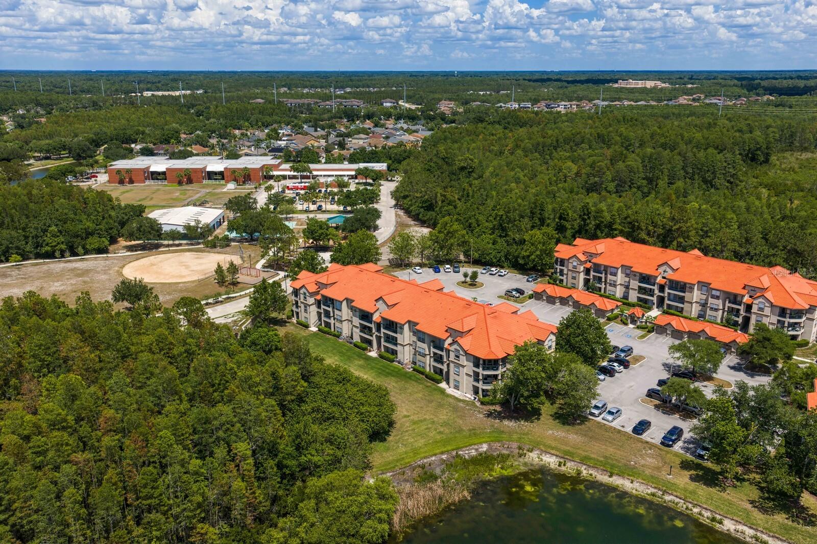 18108 PEREGRINES PERCH PL #7110, LUTZ, FL, 33558
