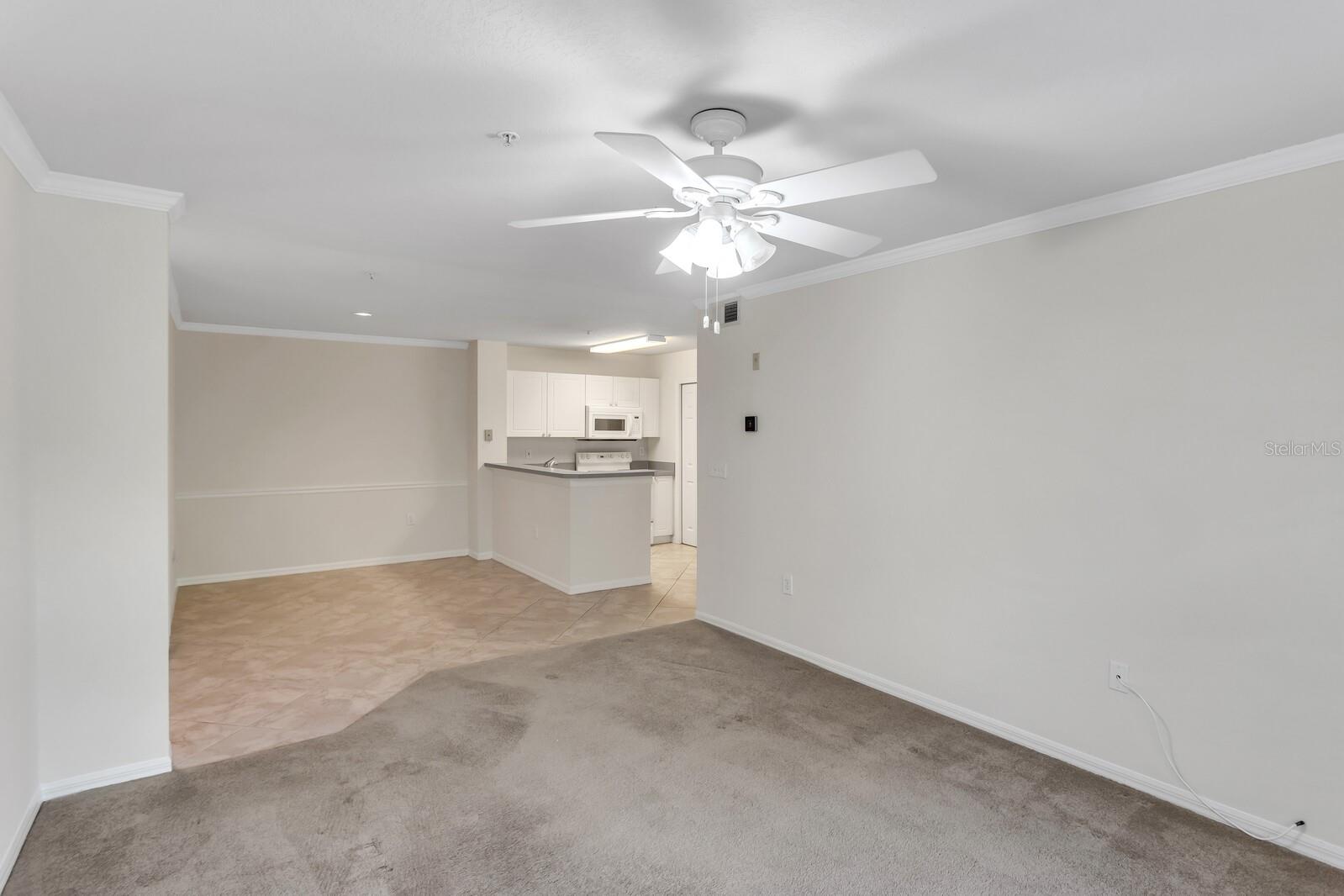 18108 PEREGRINES PERCH PL #7110, LUTZ, FL, 33558