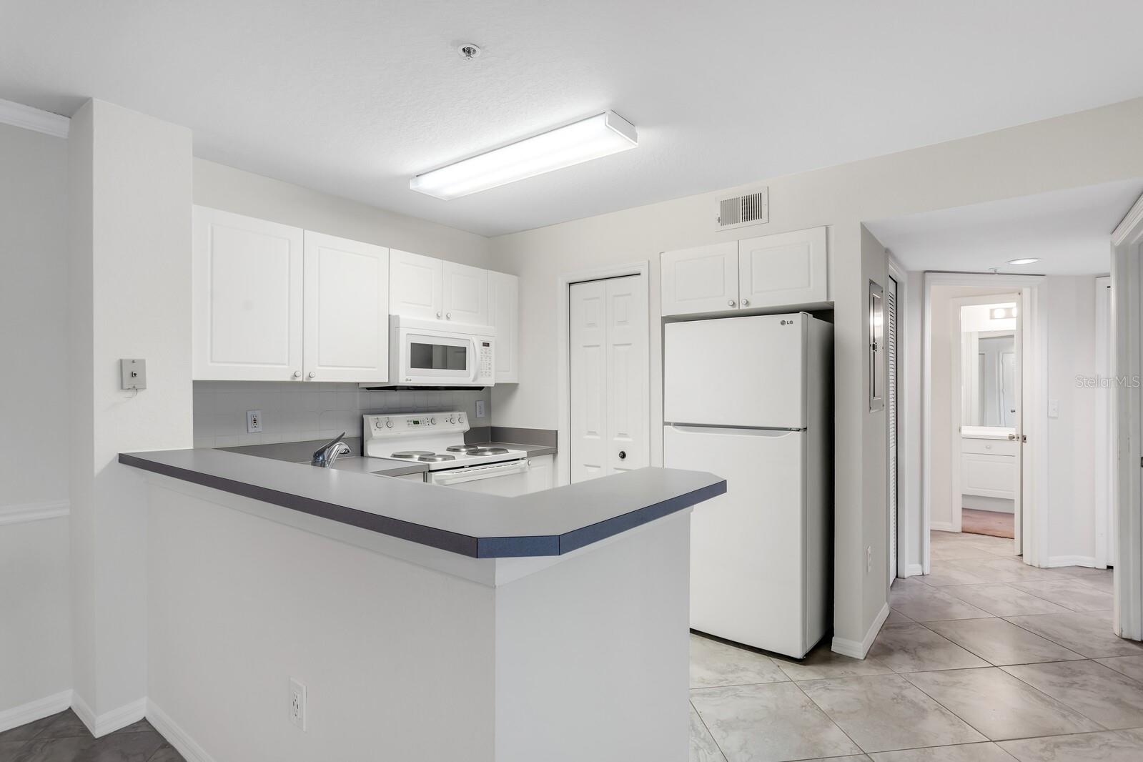 18108 PEREGRINES PERCH PL #7110, LUTZ, FL, 33558